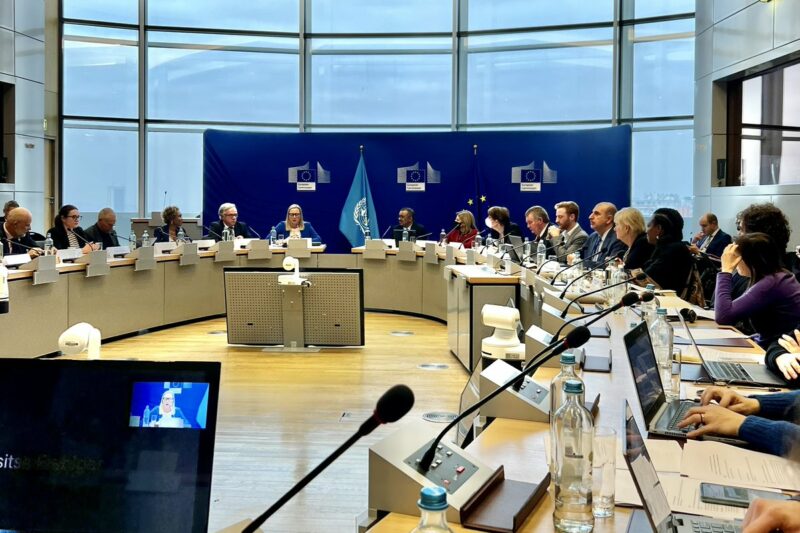 Accelerating Health Equity Under AU-EU Partnership